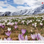 Terra Grischuna Kalender 2026