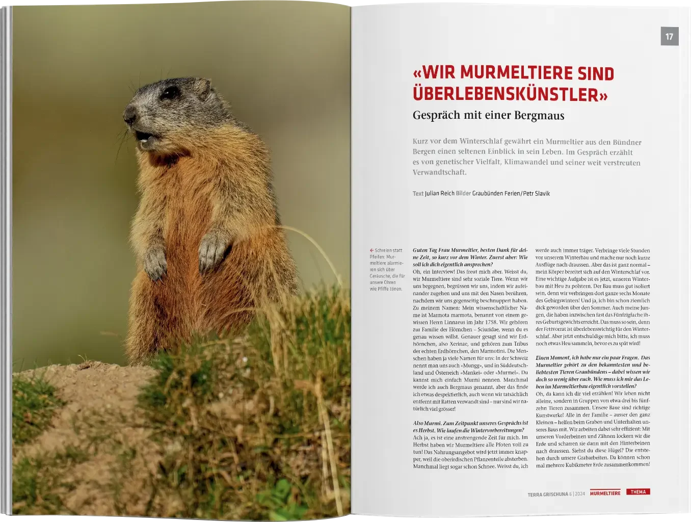 Auszug aus dem Magazin