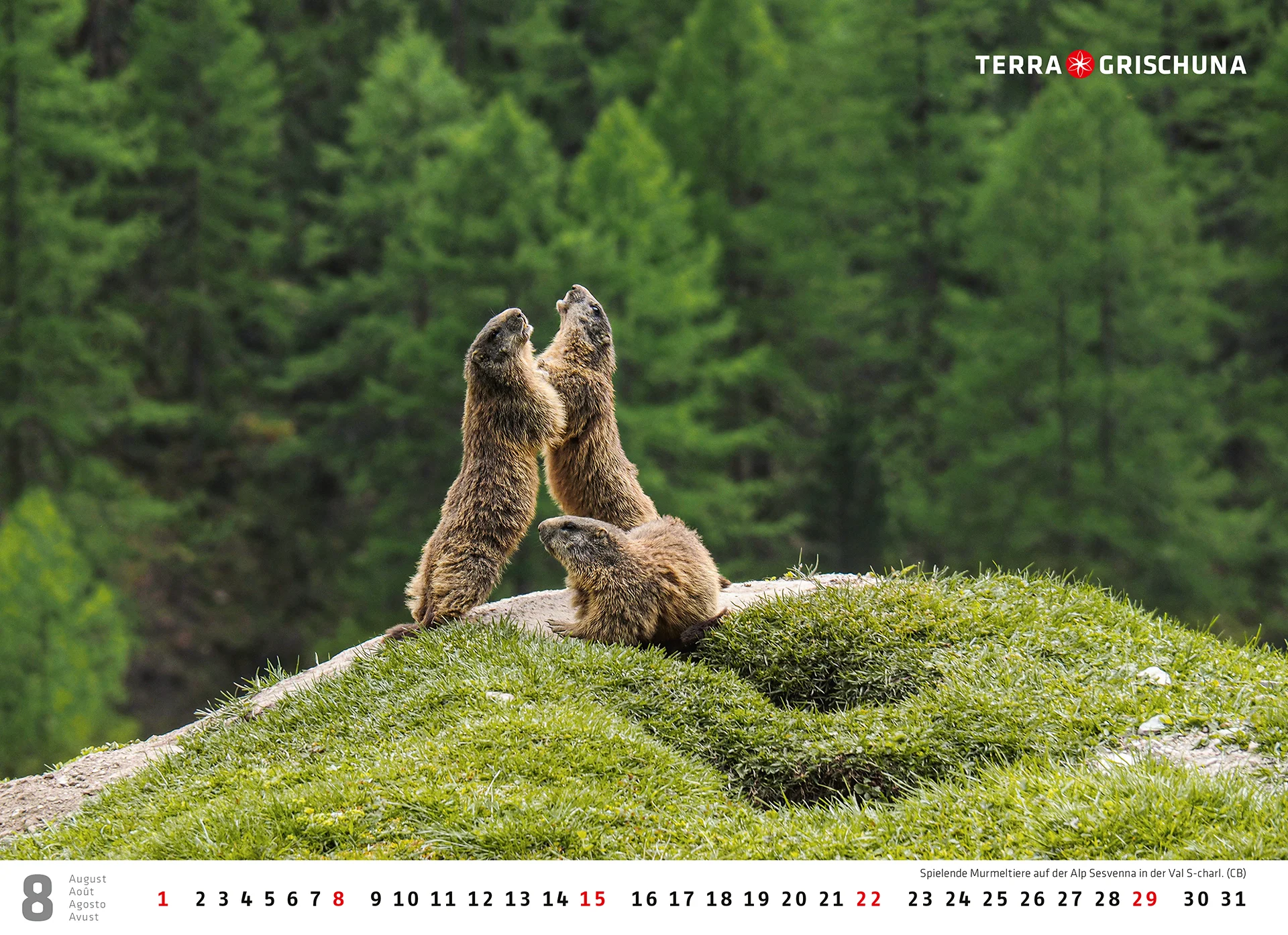 Terra Grischuna Kalender 2027 – Bild 9